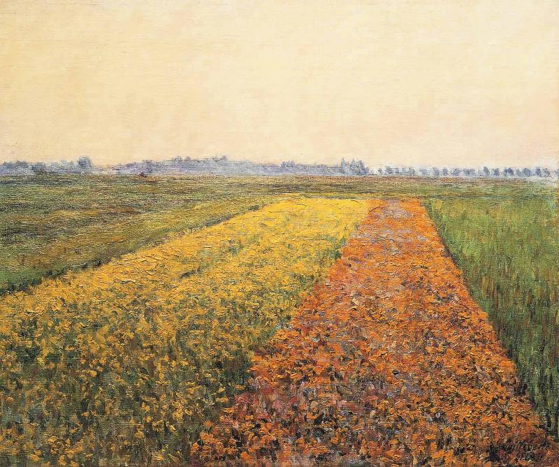  The Yellow Fields at Gennevilliers